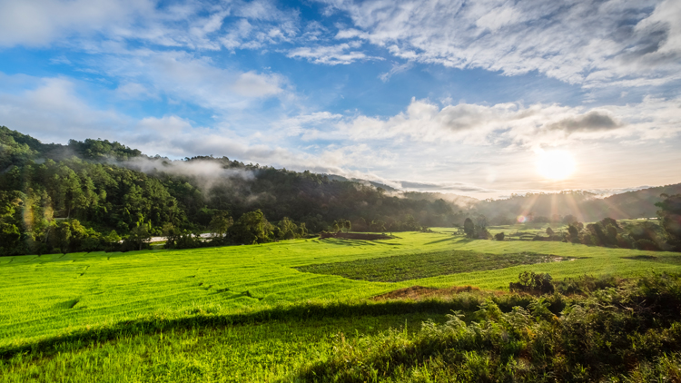 Immobilienmakler Frechen PHI landschaft