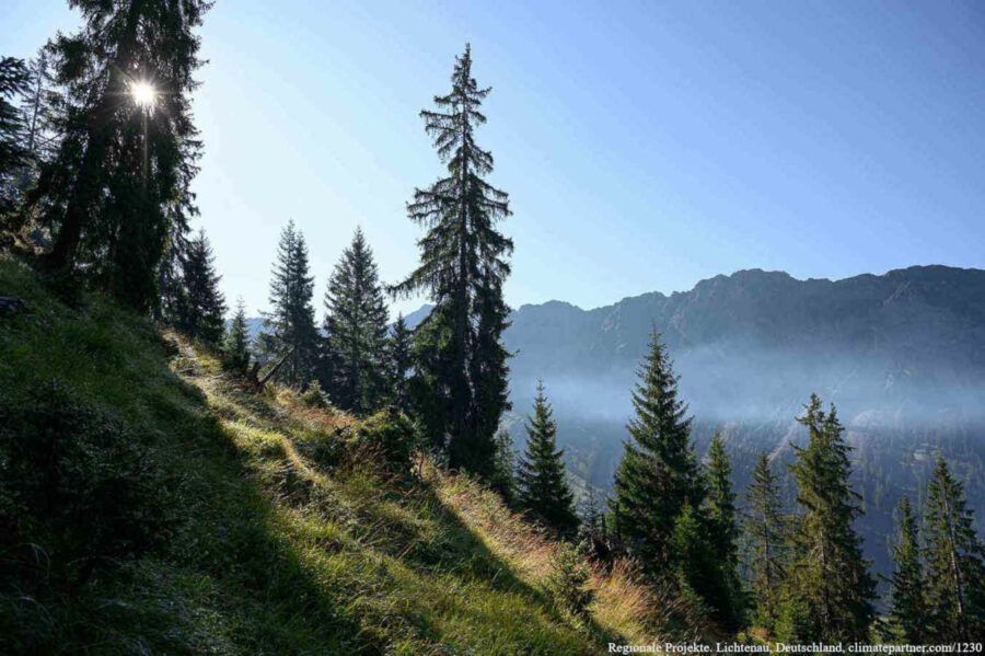 Nachhaltigkeitsprojekt Oberallgäu Wald