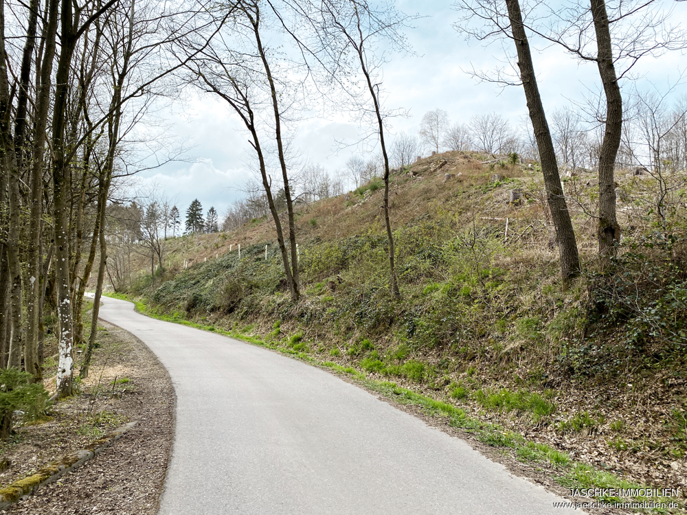 Grundstück (Wohnbebauung) Stolberg (Rheinland) / Schevenhütte kaufen Phi: Umgebung Immobilienmakler Stolberg (Rheinland) / Schevenhütte Grundstück (Wohnbebauung) kaufen mit Immobilienbewertung