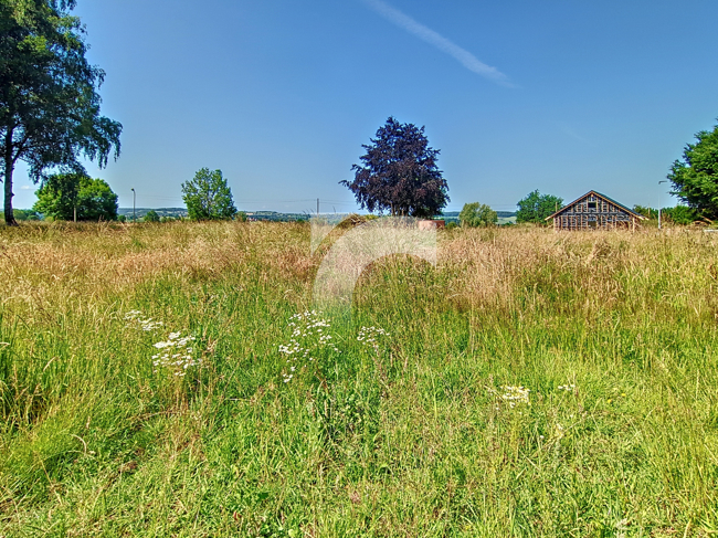 Grundstück (Wohnbebauung) Gemmenich kaufen Phi Immobilienmakler Gemmenich Grundstück (Wohnbebauung) kaufen mit Immobilienbewertung