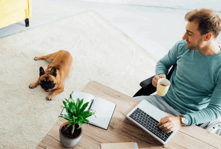 Homeoffice als Preistreiber