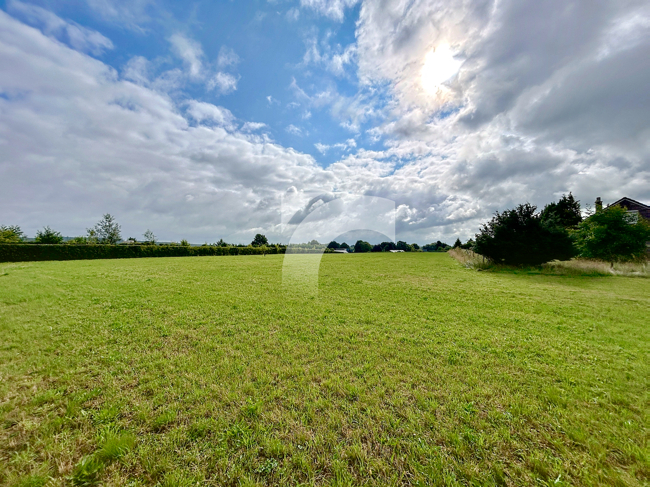 Grundstück (Wohnbebauung) Sourbrodt kaufen Phi Immobilienmakler Sourbrodt Grundstück (Wohnbebauung) kaufen mit Immobilienbewertung