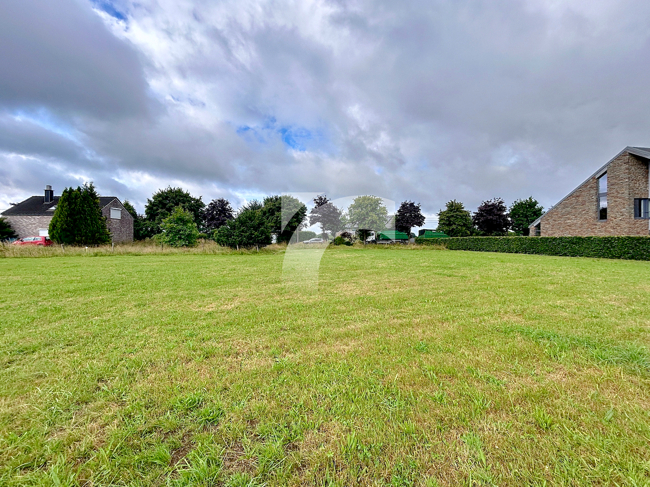 Grundstück (Wohnbebauung) Sourbrodt kaufen Phi Immobilienmakler Sourbrodt Grundstück (Wohnbebauung) kaufen mit Immobilienbewertung