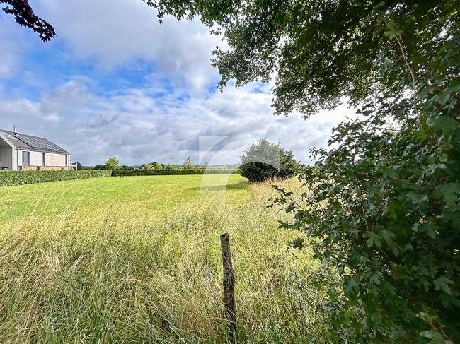 Grundstück (Wohnbebauung) Sourbrodt kaufen Phi Immobilienmakler Sourbrodt Grundstück (Wohnbebauung) kaufen mit Immobilienbewertung