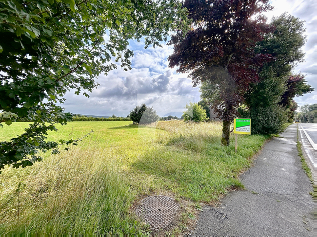 Grundstück (Wohnbebauung) Sourbrodt kaufen Phi Immobilienmakler Sourbrodt Grundstück (Wohnbebauung) kaufen mit Immobilienbewertung