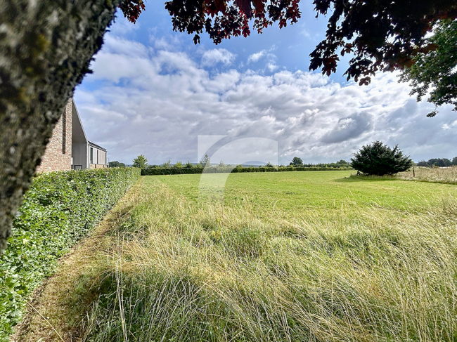 Grundstück (Wohnbebauung) Sourbrodt kaufen Phi Immobilienmakler Sourbrodt Grundstück (Wohnbebauung) kaufen mit Immobilienbewertung