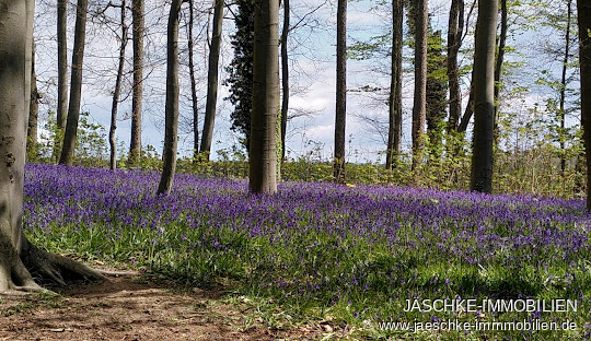 Etagenwohnung Hückelhoven-Hilfarth kaufen Phi: Umgebung Immobilienmakler Hückelhoven-Hilfarth Etagenwohnung kaufen mit Immobilienbewertung