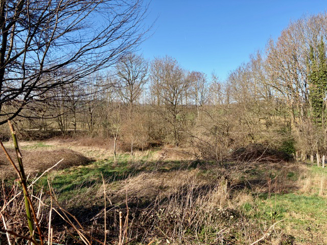 Immobilienmakler Gemmenich Villa kaufen mit Immobilienbewertung