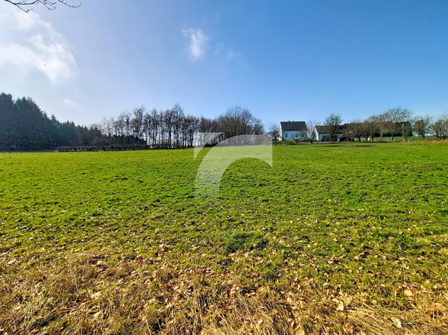 Grundstück (Wohnbebauung) Manderfeld kaufen Phi Immobilienmakler Manderfeld Grundstück (Wohnbebauung) kaufen mit Immobilienbewertung