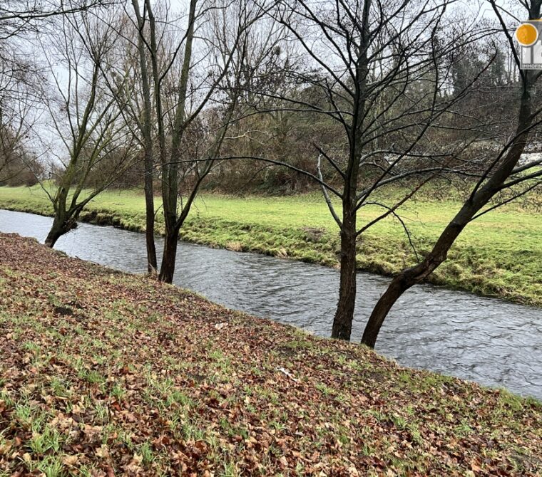 Immobilienmakler Eschweiler / Weisweiler Einfamilienhaus kaufen mit Immobilienbewertung