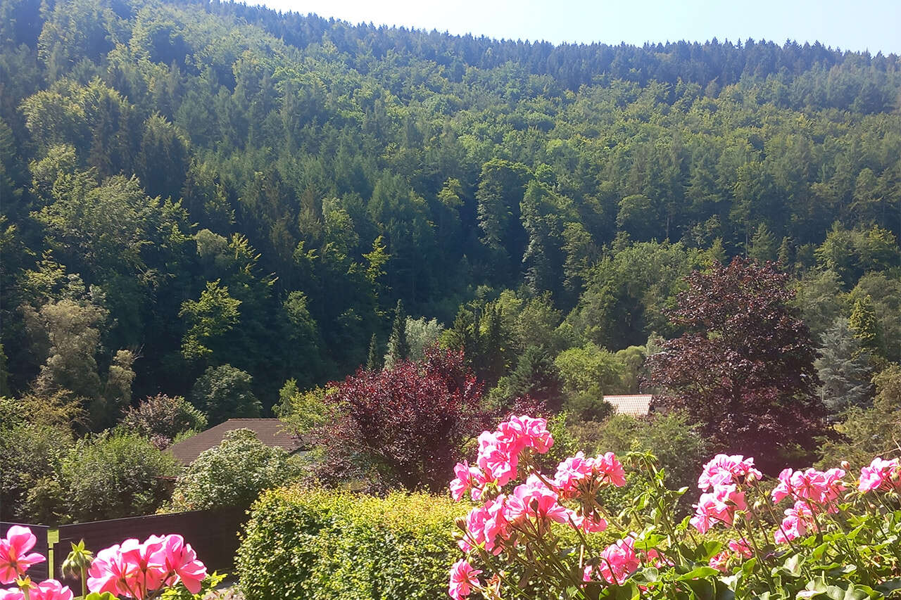 Immobilienmakler Simmerath Einfamilienhaus kaufen mit Immobilienbewertung