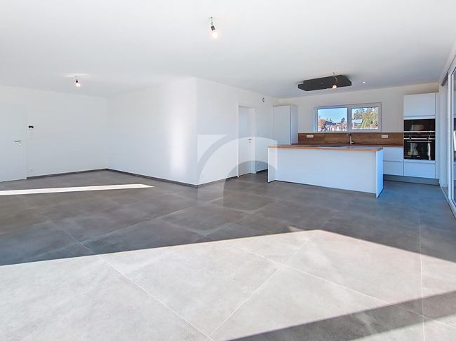 Immobilienmakler Büllingen Einfamilienhaus kaufen mit Immobilienbewertung