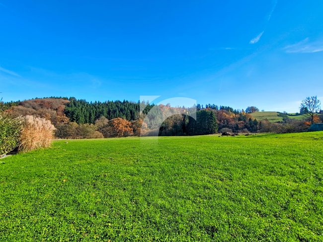 Immobilienmakler Manderfeld Freizeitanlage kaufen mit Immobilienbewertung