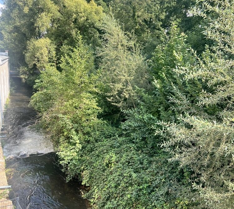 Immobilienmakler Düren / Mariaweiler Erdgeschosswohnung mieten mit Immobilienbewertung