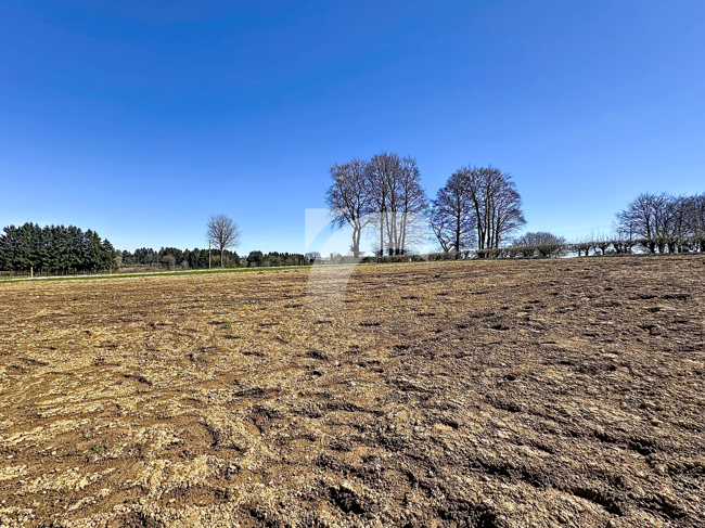 Immobilienmakler Bütgenbach Villa kaufen mit Immobilienbewertung