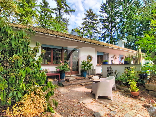 Bungalow Neu-Moresnet kaufen Phi Immobilienmakler Neu-Moresnet Bungalow kaufen mit Immobilienbewertung