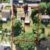 Immobilienmakler Roetgen / Rott Grundstück (Wohnbebauung) kaufen mit Immobilienbewertung