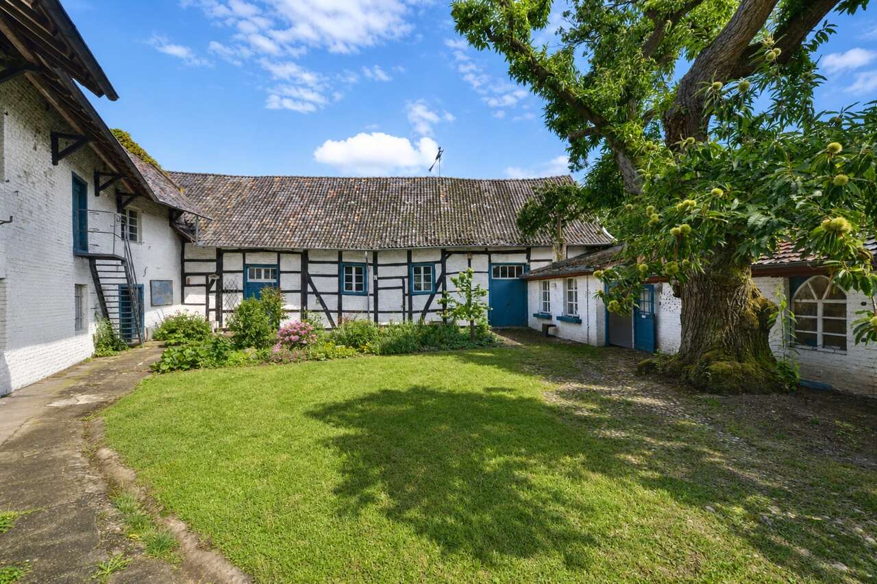Resthof Titz kaufen Phi: PHI Köln-Titz-Einfamilienhaus-Kauf-XL595-Garten-01 Immobilienmakler Titz Resthof kaufen mit Immobilienbewertung